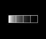 Animation